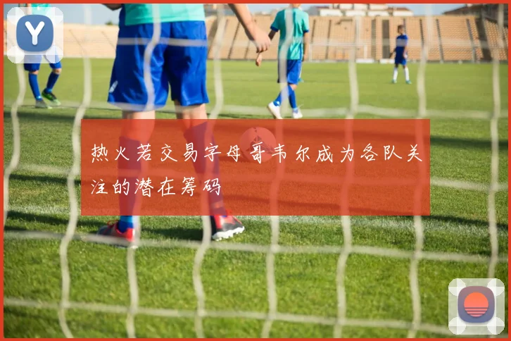 热火若交易字母哥韦尔成为各队关注的潜在筹码