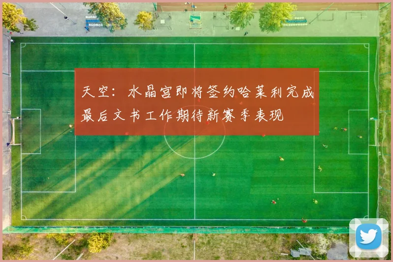 天空：水晶宫即将签约哈莱利完成最后文书工作期待新赛季表现